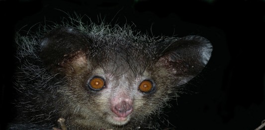 La increíble historia de la espía Mata Hari