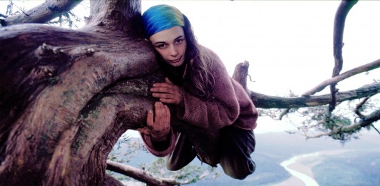 Julia Butterfly Hill, la activista que vivió dos años en un árbol