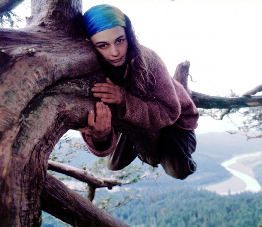 Julia Butterfly Hill, la activista que vivió dos años en un árbol Julia Butterfly Hill, la activista que vivió dos años en un árbol