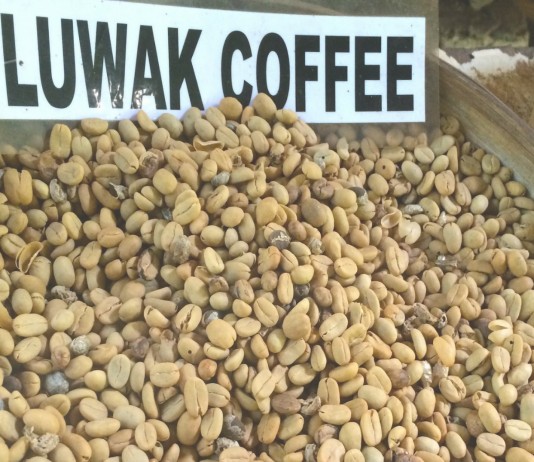 El carísimo café hecho de heces: Kopi Luwak El carísimo café hecho de heces: Kopi Luwak