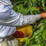 leyendas poco conocidas de suramerica