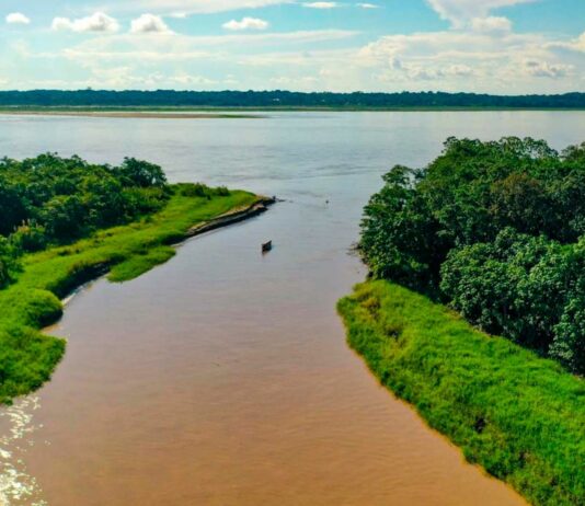 curiosidades del río Amazonas. Supercurioso.