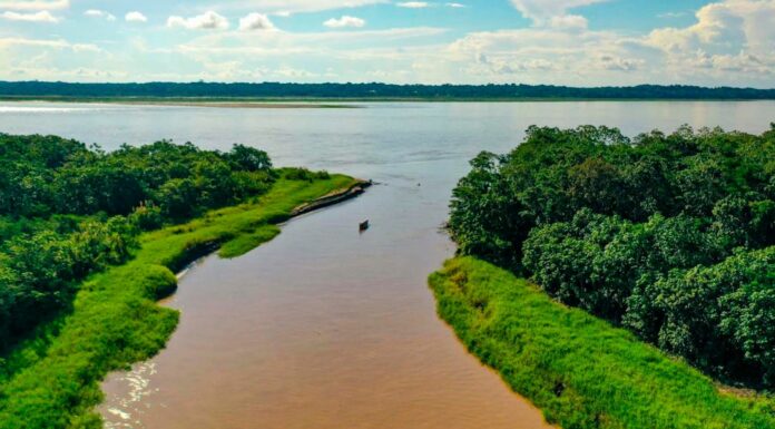curiosidades del río Amazonas. Supercurioso.