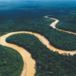 curiosidades del río Amazonas