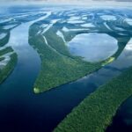 datos curiosos del río Amazonas
