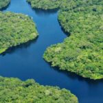 selva amazónica