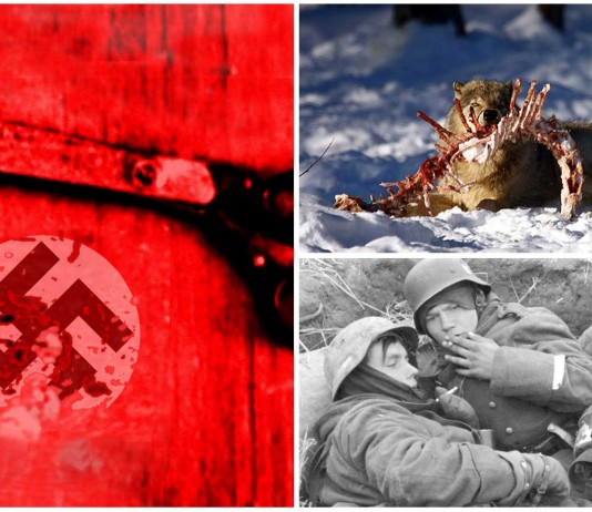 Aportes durante el horror nazi