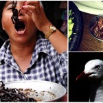 Comidas aún más extrañas