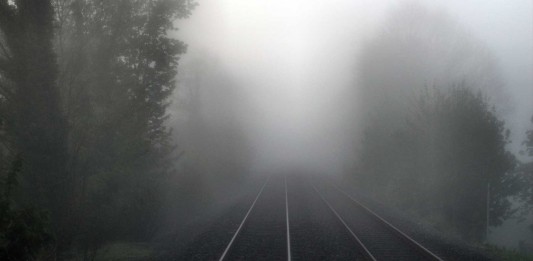 El insólito caso del Caminante de Bosaica