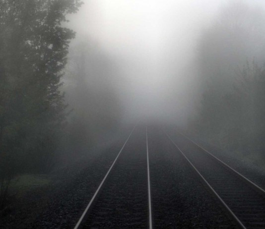 El insólito caso del Caminante de Bosaica