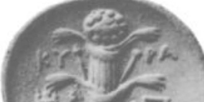 Moneda de plata de Cirene con una gavilla de Silfio, píldora del día después en la antigua grecia