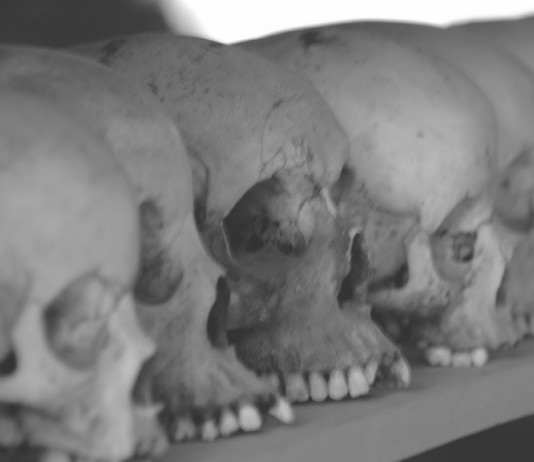 Terror en Ruanda: la historia de un genocidio Terror en Ruanda: la historia de un genocidio