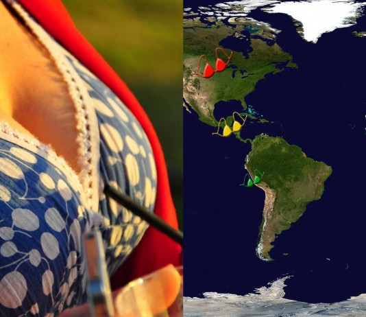 ¡El tamaño medio de los senos por países!