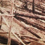 tunguska