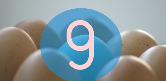 9 Usos curiosos de la cáscara de huevo