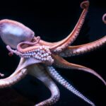 AdobeStock_145341807-min