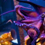 AdobeStock_266323990-min