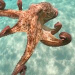 AdobeStock_272897169-min