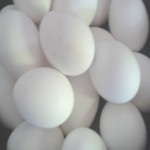 Huevos