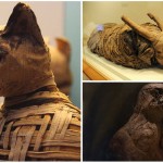 Las momias de animales en el Antiguo Egipto