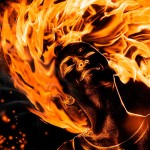 Noche de San Juan: ¡cómo atraer la magia!