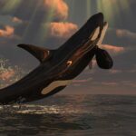 curiosidades-de-las-orcas