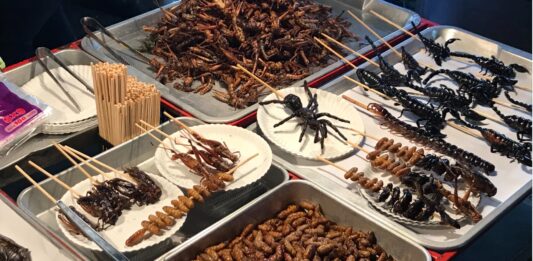 las comidas más raras del mundo