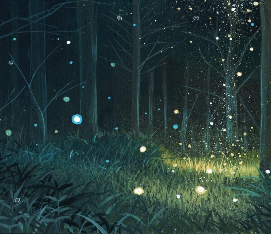 El mundo de los buscadores de "orbs"