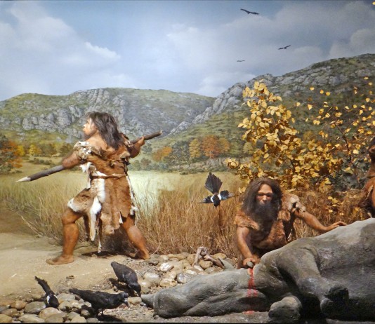 ¿Llegó el ser humano hace 22.000 años a América? ¿Llegó el ser humano hace 22.000 años a América?