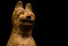 Animales momificados en el Antiguo Egipto