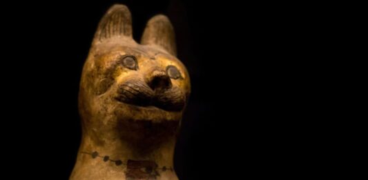 Animales momificados en el Antiguo Egipto