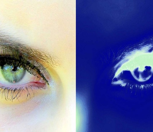 ¡No te pierdas la nueva ilusión óptica viral!