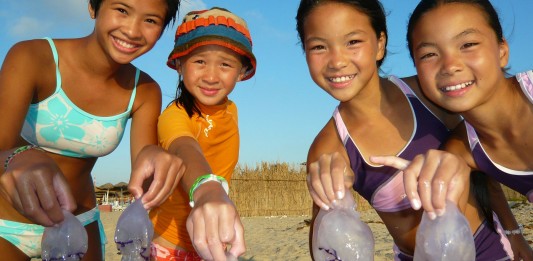 Orinar en una picadura de medusa. ¿Funciona? Orinar en una picadura de medusa. ¿Funciona?