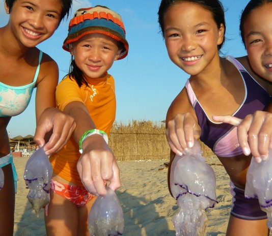 Orinar en una picadura de medusa. ¿Funciona?