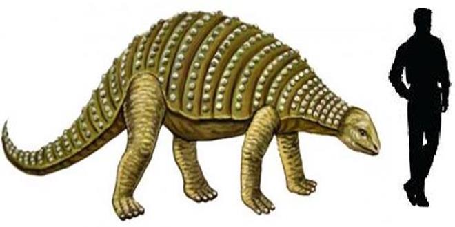 Nodosaurus (Copy)