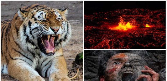 12 suicidios más allá de lo extravagante 12 suicidios más allá de lo extravagante