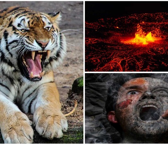 12 suicidios más allá de lo extravagante