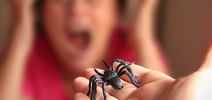 Aracnofobia: miedo a las arañas