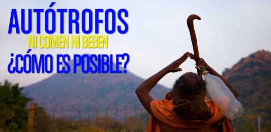 ¿Seres humanos autótrofos? ¿Vivir sin comer ni beber? autótrofos