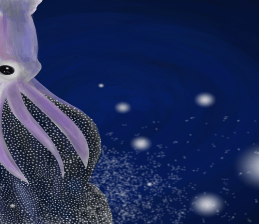 Descubre cómo es el «parto» de un calamar gigante: ¡Maravilloso! Descubre cómo es el "parto" de un calamar gigante: ¡Maravilloso!