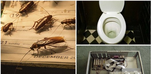 Los 10 escondites favoritos de las cucarachas, ¿te atreves a conocerlos? Los 10 escondites favoritos de las cucarachas, ¿te atreves a conocerlos?