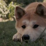 Siempre a tu lado, Hachiko (Lasse Hallström, 2009)