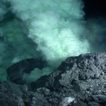 Los misteriosos tiburones que habitan en un volcán submarino