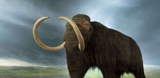 ¿Te comerías un mamut?