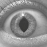mordake