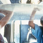 curiosidades sobre «Parque Jurásico»