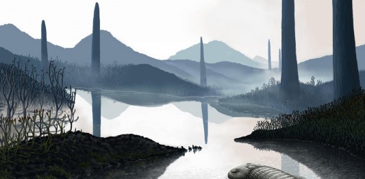 El misterio de los hongos gigantes prehistóricos El misterio de los hongos gigantes prehistóricos