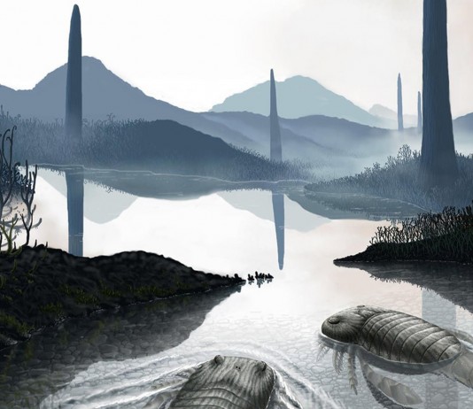 El misterio de los hongos gigantes prehistóricos El misterio de los hongos gigantes prehistóricos