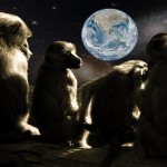 Planeta de los simios