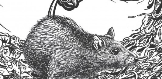 Las ratas gigantes que invaden Inglaterra